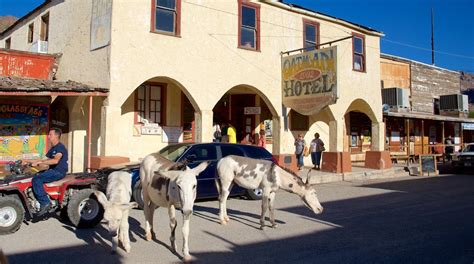 laughlin tours to oatman  You will travel about 20 minutes to the town