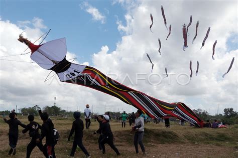 layangan sempak rangka  layangan bebean knockdown lebar sayap 90cm + tali dan spool v3