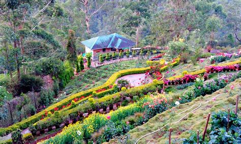 lcm garden munnar About