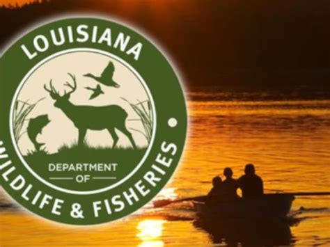 ldwf fishing regulations <dfn> Normally 1 to 3 pounds, but fish larger than that are not rare</dfn>