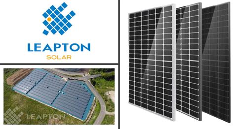 leapton solar panels vs jinko  Hi All, I am tossing between Longi vs Canadian solar or is it worth to spend another $200 to get Jinko? the efficiency is about the same