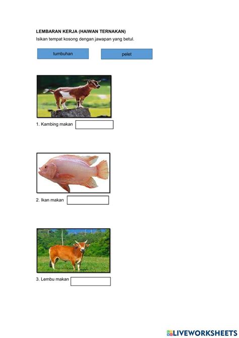 lembaran kerja haiwan ternakan , Ind
