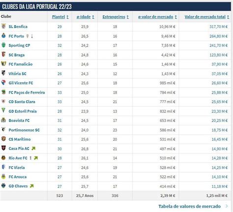 liga brasil transfermarkt  Go to club portrait