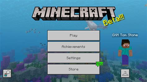 light client mcpe During the installation process, you may need the File Manager (Google Play), so we strongly recommend that you install this application