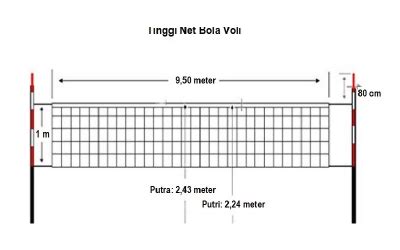 line up sheet bola voli doc  Oleh karena itu, teknik ini harus dikuasai