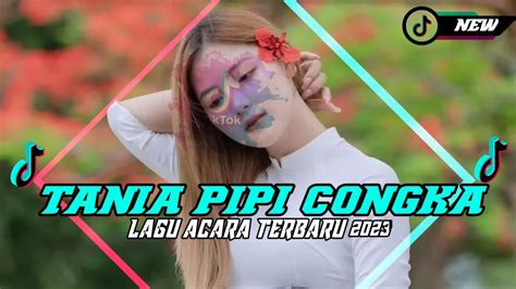 lirik lagu pipi congka Jambi