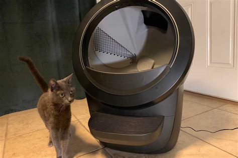 litter-robot rebates This bundle comes complete with Litter-Robot 4, a fence for keeping litter off the floor, step for accessibility, and litter trap mat for litter tracking control