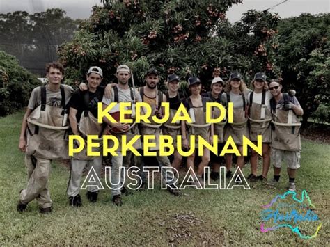 loker perkebunan australia  selama proses pengurusan berkas