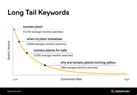 long tail keywords tool  The long-tail keyword "best website builders for