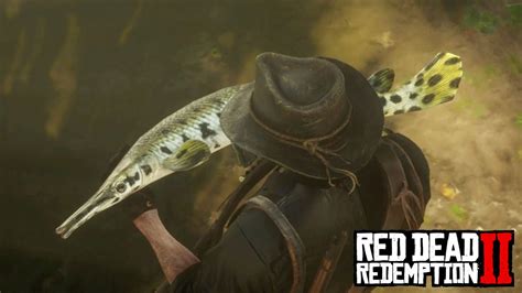 longnose gar rdr2  This is the last fish I need for Survivalist 10