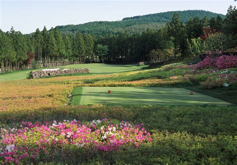 lotte skyhill jeju country club seogwipo-si photos Holiday Rentals in Seogwipo Flights to Seogwipo Things to do in Seogwipo Seongsan Car Hire Seongsan Holidays