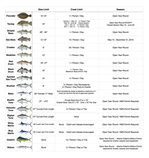 louisiana saltwater fishing regulations  Possession limit = the daily bag