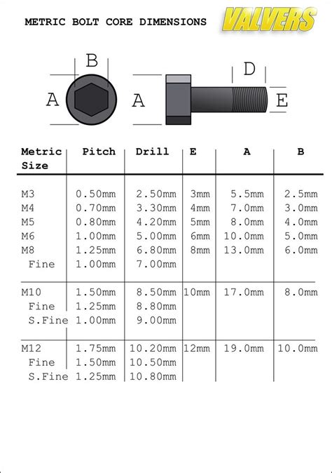 m14 bolt toolstation  Drill through the work, insert the anchor and tighten