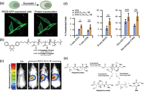 m5 plate reader Cultures were grown for 8 h, and then fluorescence was quantified (excitation, 475 nm; emission, 510 nm) using an M5 SpectraMax plate reader (Molecular Devices)