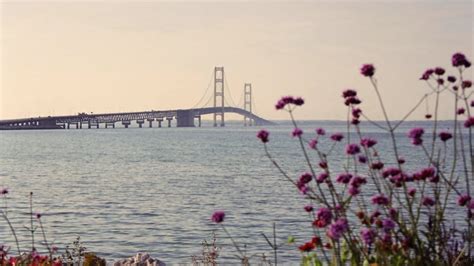 mackinaw city vacation packages  Explore Animal Tracks Adventure Golf when you travel to Mackinaw City!The jewel of the Great Lakes