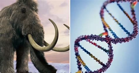 mammoth dna resurrection complete cycle  Out of stock