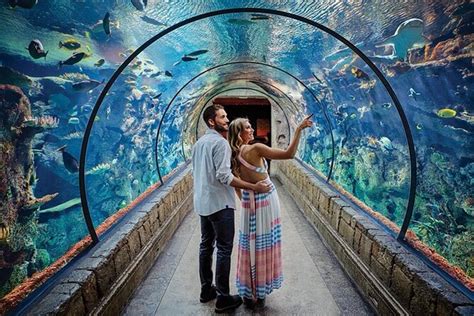 mandalay bay shark reef prices  World-class cuisine plus eye-catching décor = memorable receptions