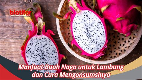 manfaat buah naga untuk lambung  Salah satu kandungan di dalam apel bisa meredakan asam lambung yang naik pada