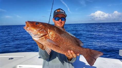 mangrove snapper size limit texas 43″ N 80° 4′ 20