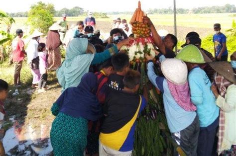 mangsa labuh yaiku  (Labuh adalah musim penghujan