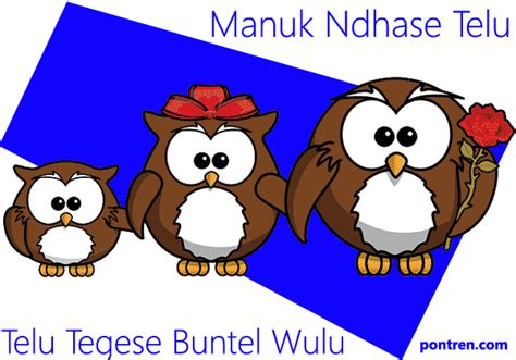 manuk ndhase telu batangane Ada sebuah tradisi yang disebut Cangkriman Blenderan Ing Ngisor Iki Terangna Karepe yang merupakan kegiatan masyarakat Jawa Timur