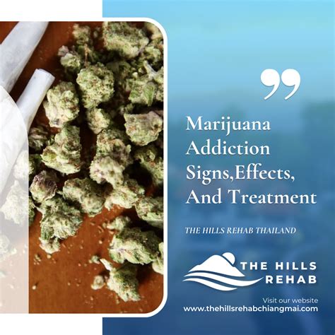 marijuana rehab thailand Types of marijuana abuse treatment offered at Bayside Marin Treatment Center in California