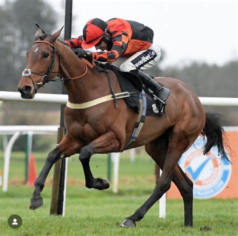 market rasen races 2019  Find all our Horse Racing Replays from across our 15 Racecourses here