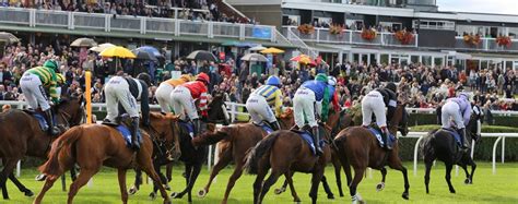 market rasen races 2019 50pm