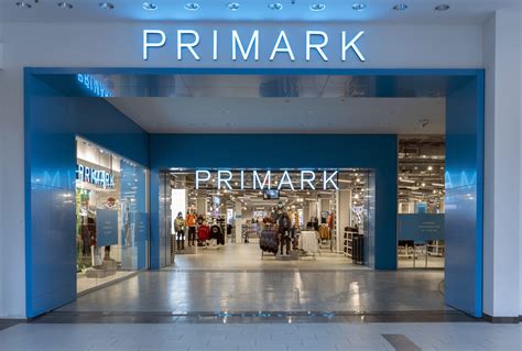 mary davids primark 