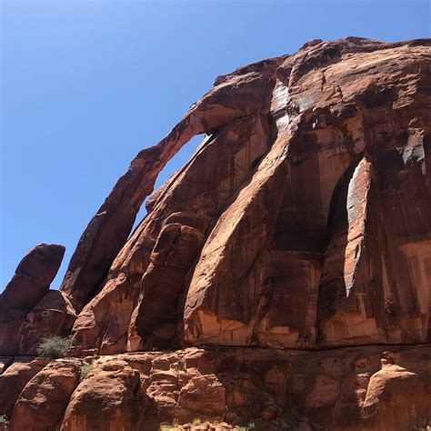 mary jane canyon moab Professor Creek and Mary Jane Canyon Trail is a popular dog friendly hike in Moab