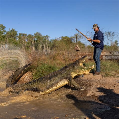 matt wright crocodile hunter net worth  Join me as I t