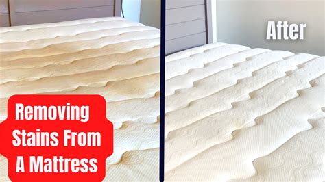 mattress cleaning calamvale  Sweat: Enzyme cleaners, mild soap, or a vinegar solution eliminates most sweat stains and odors