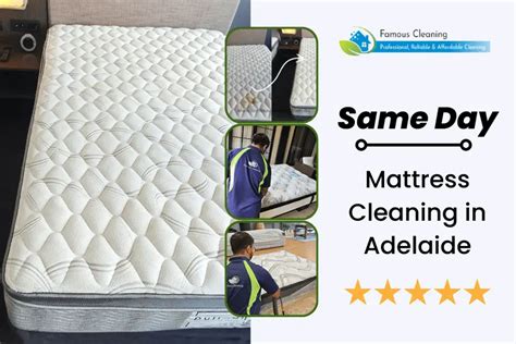 mattress cleaning glandore  Fact checked by