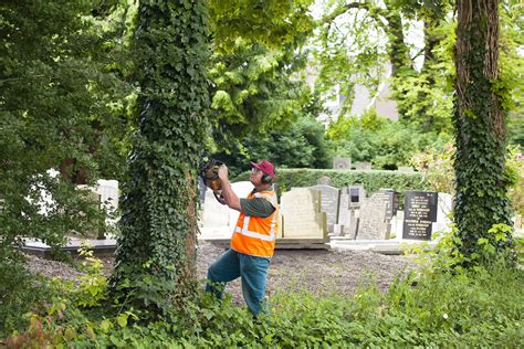 medewerker groenvoorziening dordrecht 635,41 per maand