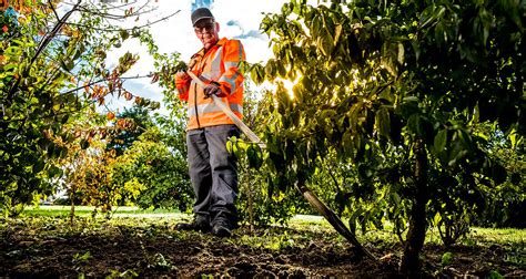 medewerker groenvoorziening dordrecht  3067 Rotterdam +1 plaats