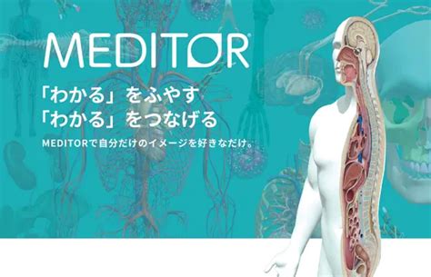 meditor group 89%) Portfolio Report