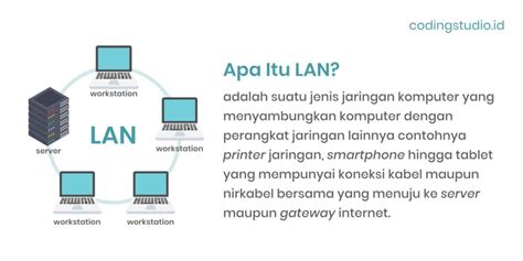 melandai adalah  Hal yang menyebabkan ini terjadi adalah karena ketersediaan makanan dan sumber air sudah terbatas, dan terjadinya berkompetisi sehingga pada akhirnya ada yang mati