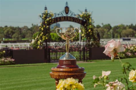 melbourne cup 2021 horses and trainers  TAB Odds: $71 Form: x0840 - 9