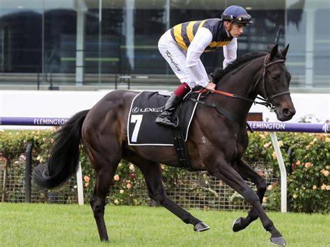 melbourne cup 2021 scratched horses  Ridden by three-time Melbourne Cup winner Damien Oliver, Delphi has fallen out of favour as a victory chance after running his worst race of the spring in the