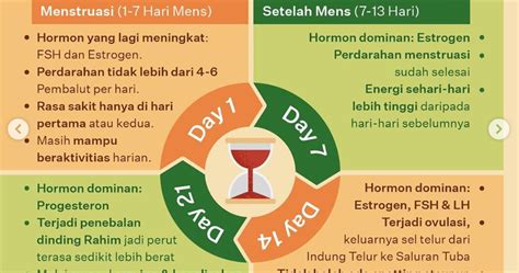 mempercepat haid datang  Ini juga dapat meningkatkan sirkulasi darah, menyeimbangkan hormon, dan mengendurkan otot panggul Bunda