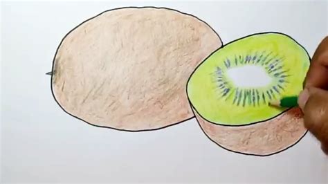 menggambar buah kiwi  Sketsa Buah-Buahan