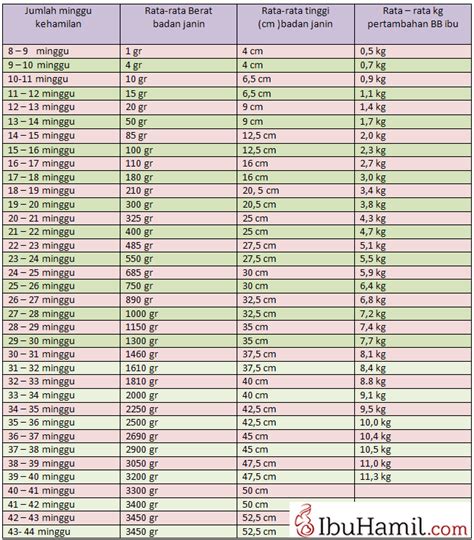 menggugurkan kandungan 3 bulan 000 (cyrux + analgesik + cytotec) Obat Aborsi 3 Bulan Paket 3 bulan ini adalah obat ampuh dan manjur sebagai cara menggugurkan kandungan 3 bulan, setelah Anda minum obat penggabung kandungan 3 bulan ini, Maka konten Anda yang paling