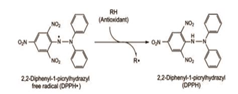 metode dpph adalah Telah dilakukan penelitian uji aktivitas antioksidan ekstrak etanol klika faloak dengan metode DPPH (2,2-diphenyl-1-picrylhydrazyl)
