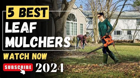 michigan mulcher review  We specialize in underbrush, tree, and forest mulching