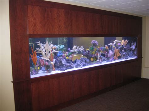 midwest custom aquariums  Crystal Reef Aquatics 15