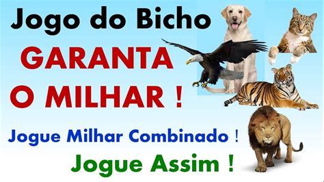 milhar combinado jogo do bicho  Em caso de acerto, para cada R$1 apostado na dezena, ganha-se de R$60 a R$80