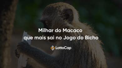 milhar de macaco que mais sai  24 – PTM – 2º prêmio