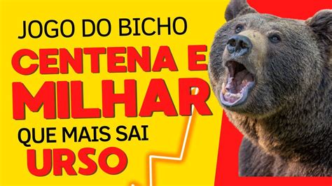 milhar do urso viciada  Consulte todos resultados do jogo do bicho Pernambuco LOTERIA POPULAR