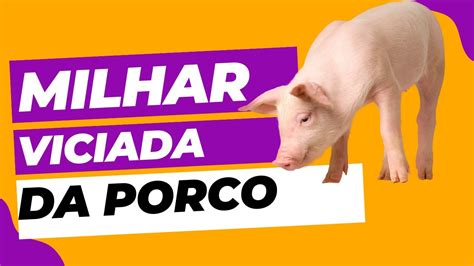 milhar seca do porco  A “milhar seca” (ou na cabeça), por exemplo, acontece quando o seu milhar sair no primeiro sorteio