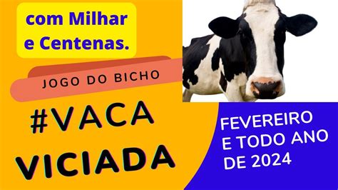 milhar viciada da vaca  Uma nova informação que tem um ar de machismo e entretanto é expressado nos dias de hoje é o número 24 para homossexuais, cometendo uma analogia com o animal veado que existe na lista do jogo do bicho